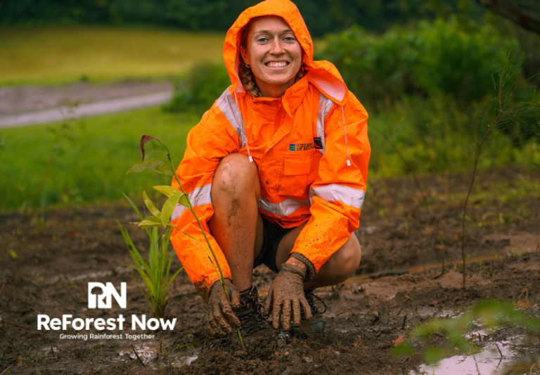 Untitled-design-2-9fee4855